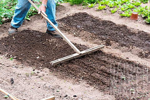 Sowing_soil_preparation_in_a_kitchen_garden