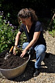 Planting of aromatic plants in a container