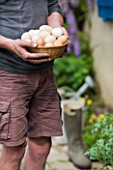 Harvest of eggs in a garden