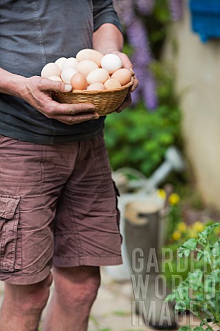 Harvest_of_eggs_in_a_garden