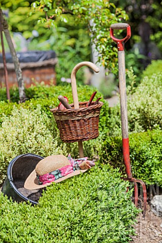 Garden_tools_and_hat_on_a_Buxus_common_boxin_a_garden