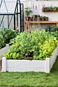 Squarefoot kitchen garden