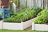 Watering of a squarefoot kitchen garden