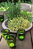 Aromatic plants in pot on a table garden