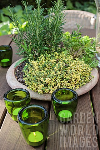 Aromatic_plants_in_pot_on_a_table_garden