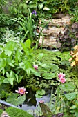 Small flowered garden pond with cascade