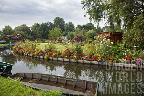 Riverside_flower_bed_with_Verbena_bonariensis_verbena_sp_Canna_Tagetes_erecta_Rudbeckia