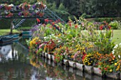 Riverside flower bed with: Verbena bonariensis, verbena sp, Canna, Tagetes erecta, Rudbeckia