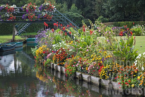 Riverside_flower_bed_with_Verbena_bonariensis_verbena_sp_Canna_Tagetes_erecta_Rudbeckia