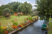 Riverside flower bed with: Verbena bonariensis, verbena sp, Canna, Tagetes erecta, Rudbeckia