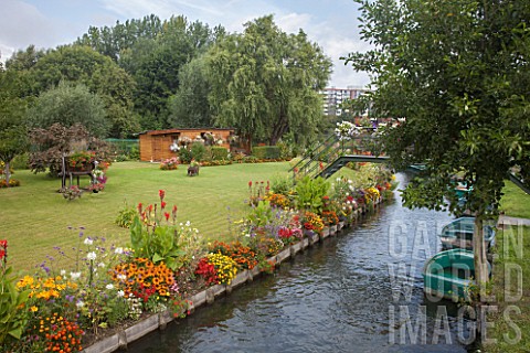 Riverside_flower_bed_with_Verbena_bonariensis_verbena_sp_Canna_Tagetes_erecta_Rudbeckia