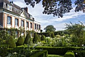 Buxus sempervirens, Jardin dAngelique