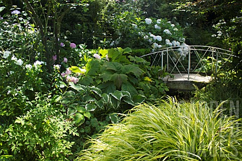 Little_bridge_in_a_garden_surronding_by_Hostas_Hakonechloea_Phlox_paniculata_Rodgersia_Hydrangea