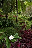 Monte Palace Tropical Garden - Madeira