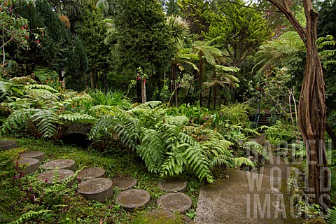 Monte_Palace_Tropical_Garden__Madeira