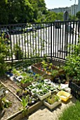 Urban gardening/cultivation