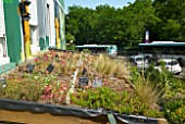 Rooftop cultivation and planting