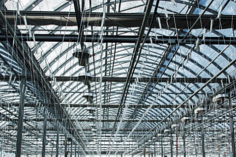Roofs_of_greenhouses_and_other_facilities_for_hydroponics_Lufa_Farms_Montreal_Province_of_Quebec_Can