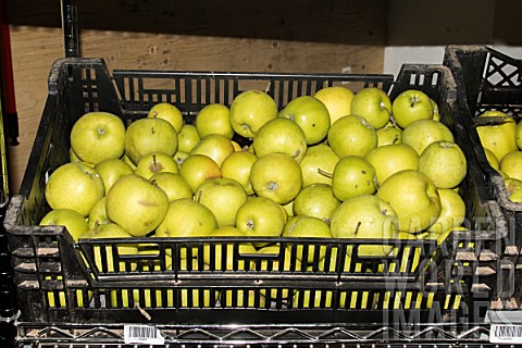 Apples_prepared_for_sale_to_individuals_Lufa_Farms_Montreal_Province_of_Quebec_Canada