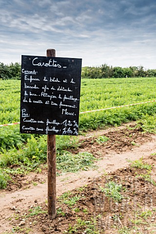 Carrot_field_with_instructions_written_in_French