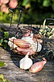 Garlic and shallots on a garden table