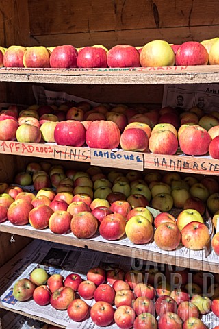 Crop_of_apple_cultivars_stored_in_a_fruit_stand