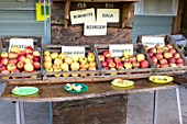Apple tasting Stall in an orchard