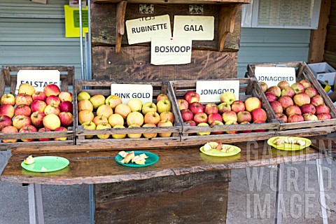 Apple_tasting_Stall_in_an_orchard