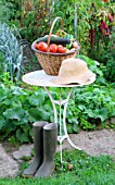 Basket of mixed vegetables: tomatoes, peppers, lettuce, zucchini, potatoes, on a table, country atmosphere, with hat, pair of boots and shoes