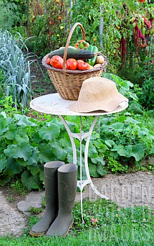Basket_of_mixed_vegetables_tomatoes_peppers_lettuce_zucchini_potatoes_on_a_table_country_atmosphere_