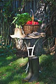 Basket of mixed vegetables: tomatoes, peppers, lettuce, zucchini, potatoes, on a table, country atmosphere, with hat, pair of boots and shoes