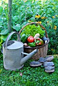 Basket of assorted vegetables; tomatoes, peppers, lettuce, zucchini, potatoes, and wooden shoes, zinc watering can on a table