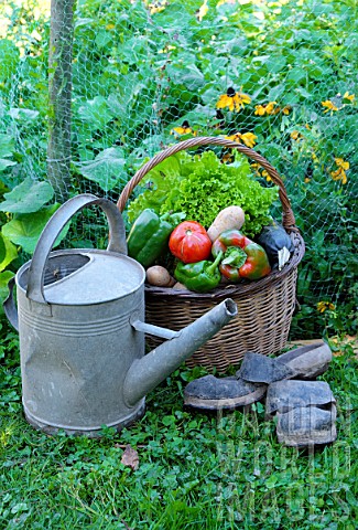 Basket_of_assorted_vegetables_tomatoes_peppers_lettuce_zucchini_potatoes_and_wooden_shoes_zinc_water