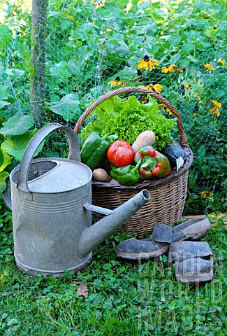 Basket_of_assorted_vegetables_tomatoes_peppers_lettuce_zucchini_potatoes_and_wooden_shoes_zinc_water