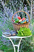 Basket of assorted vegetables; tomatoes, peppers, lettuce, zucchini, potatoes, and wooden shoes, zinc watering can on a table