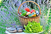 Basket of assorted vegetables; tomatoes, peppers, lettuce, zucchini, potatoes, and wooden shoes, zinc watering can on a table
