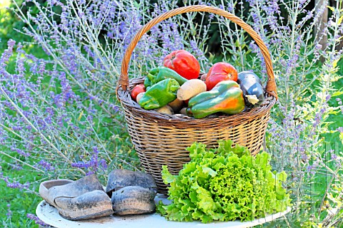 Basket_of_assorted_vegetables_tomatoes_peppers_lettuce_zucchini_potatoes_and_wooden_shoes_zinc_water