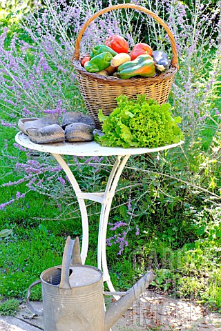 Basket_of_assorted_vegetables_tomatoes_peppers_lettuce_zucchini_potatoes_and_wooden_shoes_zinc_water