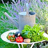 Basket of assorted vegetables; tomatoes, peppers, lettuce, zucchini, potatoes, and wooden shoes, zinc watering can on a table