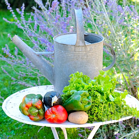 Basket_of_assorted_vegetables_tomatoes_peppers_lettuce_zucchini_potatoes_and_wooden_shoes_zinc_water