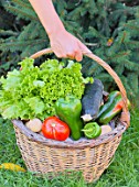 Woman holding a basket of assorted vegetables and zinc watering can plus tomatoes, peppers, lettuce, zucchini, potatoes