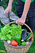 Woman holding a basket of assorted vegetables and zinc watering can plus tomatoes, peppers, lettuce, zucchini, potatoes