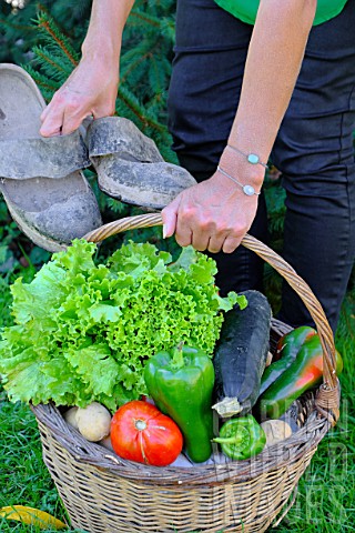 Woman_holding_a_basket_of_assorted_vegetables_and_zinc_watering_can_plus_tomatoes_peppers_lettuce_zu
