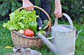 Woman holding a basket of assorted vegetables and zinc watering can plus tomatoes, peppers, lettuce, zucchini, potatoes