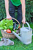 Woman holding a basket of assorted vegetables and zinc watering can plus tomatoes, peppers, lettuce, zucchini, potatoes