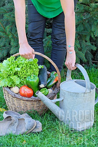 Woman_holding_a_basket_of_assorted_vegetables_and_zinc_watering_can_plus_tomatoes_peppers_lettuce_zu