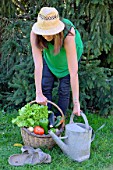 Woman holding a basket of assorted vegetables and zinc watering can plus tomatoes, peppers, lettuce, zucchini, potatoes