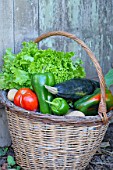 Basket of mixed vegetables: tomatoes, peppers, lettuce, zucchini, potatoes