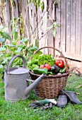 Basket of mixed vegetables: tomatoes, peppers, lettuce, zucchini, potatoes, and zinc watering can, gloves and shoes