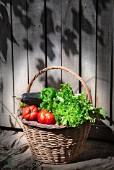 Basket of mixed vegetables: tomatoes, peppers, lettuce, zucchini, potatoes